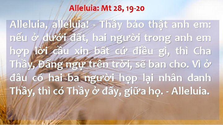 Alleluia: Mt 28, 19 -20 Alleluia, alleluia! - Thầy bảo thật anh em: nếu