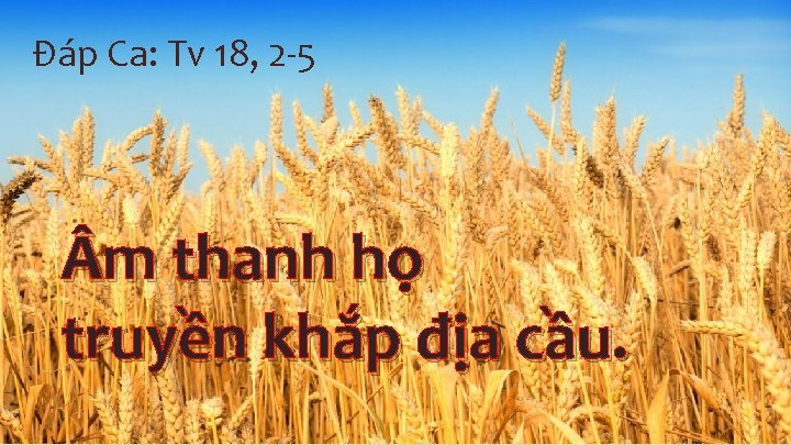 Ðáp Ca: Tv 18, 2 -5 m thanh họ truyền khắp địa cầu. 