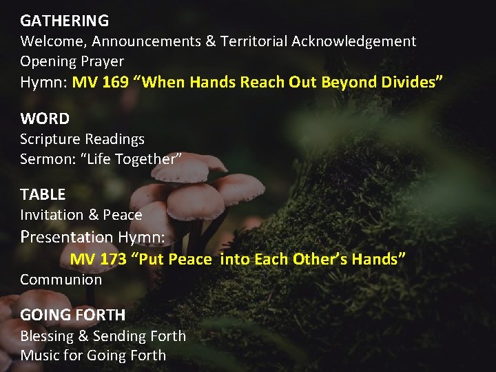 GATHERING Welcome, Announcements & Territorial Acknowledgement Opening Prayer Hymn: MV 169 “When Hands Reach