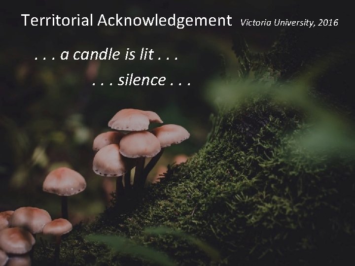 Territorial Acknowledgement. . . a candle is lit. . . silence. . . Victoria