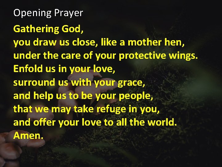 Opening Prayer Gathering God, you draw us close, like a mother hen, under the