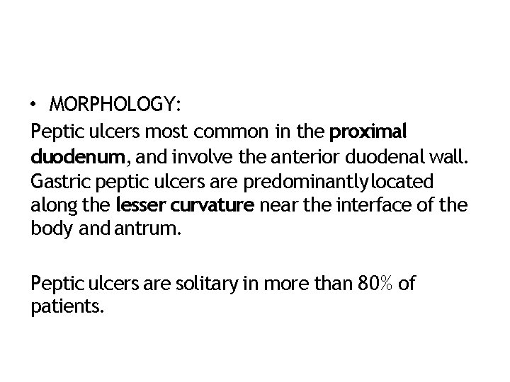  • MORPHOLOGY: Peptic ulcers most common in the proximal duodenum, and involve the