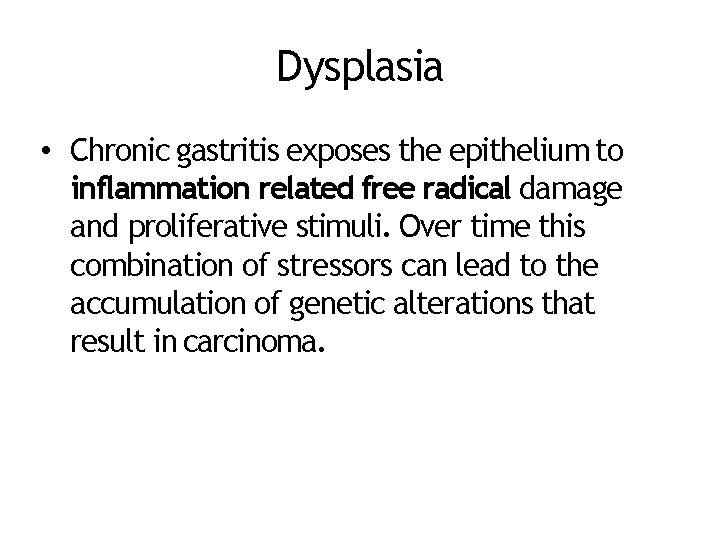 Dysplasia • Chronic gastritis exposes the epithelium to inflammation related free radical damage and