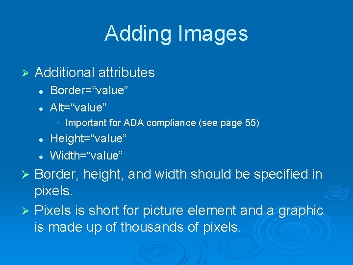 Adding Images Ø Additional attributes l l Border=“value” Alt=“value” • Important for ADA compliance