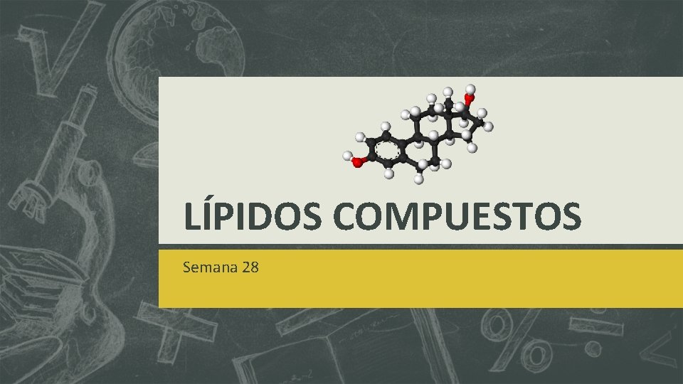 LÍPIDOS COMPUESTOS Semana 28 