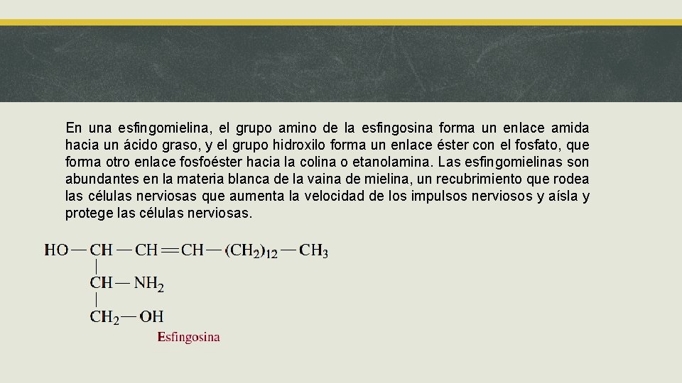 En una esfingomielina, el grupo amino de la esfingosina forma un enlace amida hacia