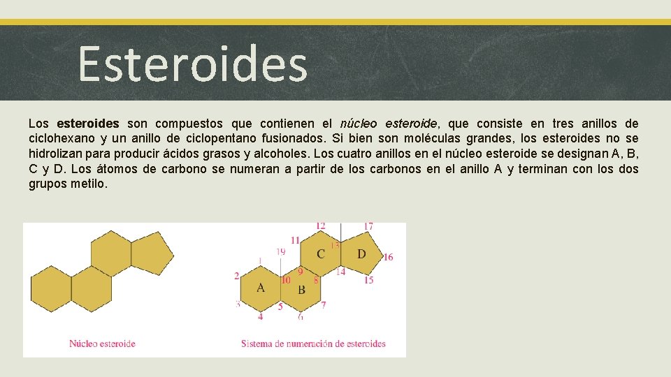 Esteroides Los esteroides son compuestos que contienen el núcleo esteroide, que consiste en tres