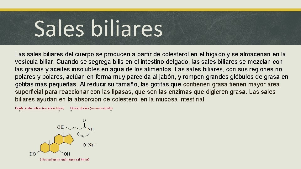 Sales biliares Las sales biliares del cuerpo se producen a partir de colesterol en