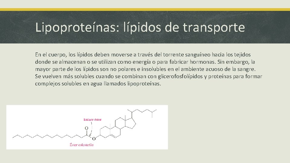 Lipoproteínas: lípidos de transporte En el cuerpo, los lípidos deben moverse a través del