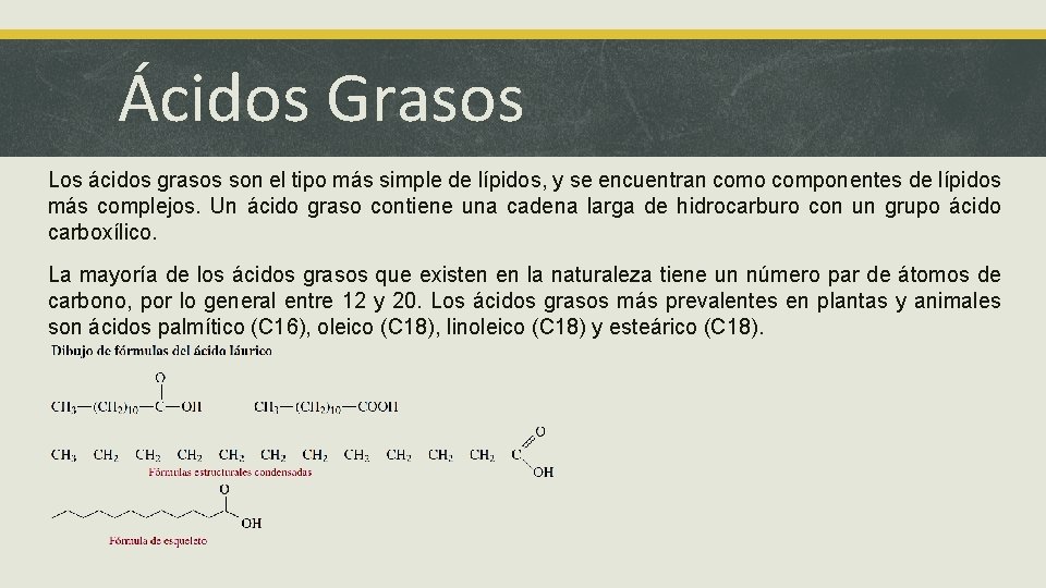 Ácidos Grasos Los ácidos grasos son el tipo más simple de lípidos, y se