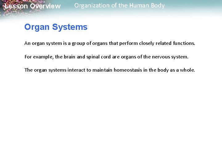 Lesson Overview Organization of the Human Body Organ Systems An organ system is a