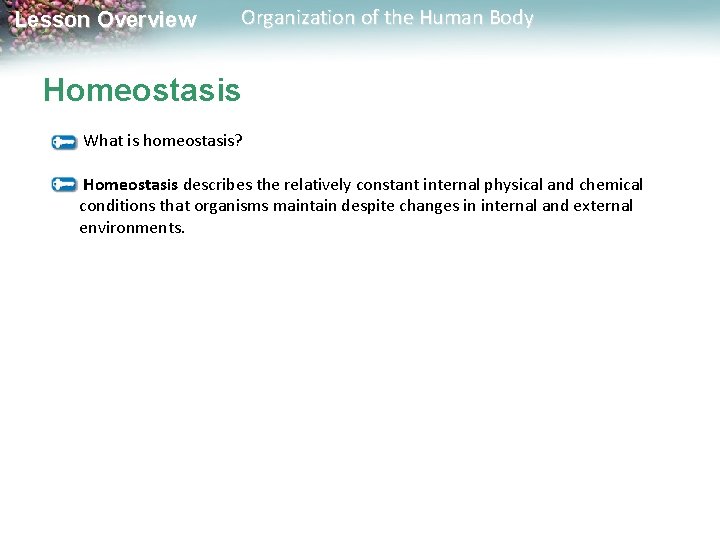 Lesson Overview Organization of the Human Body Homeostasis What is homeostasis? Homeostasis describes the