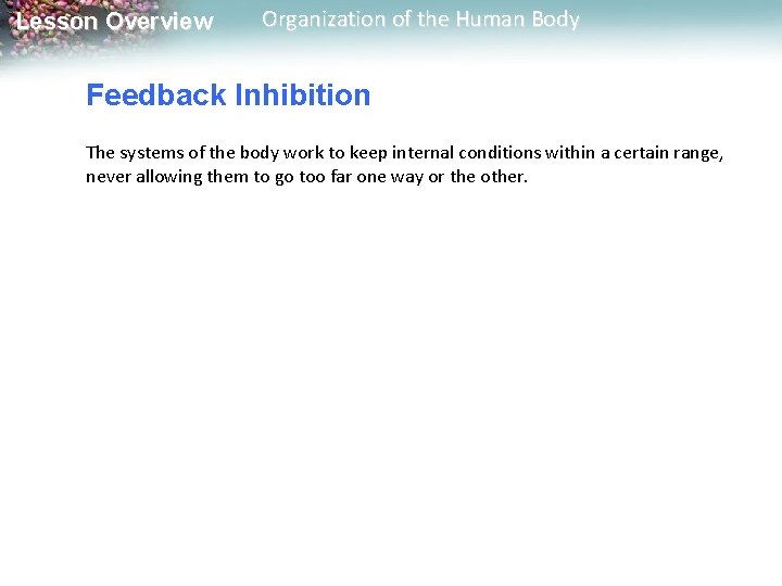 Lesson Overview Organization of the Human Body Feedback Inhibition The systems of the body