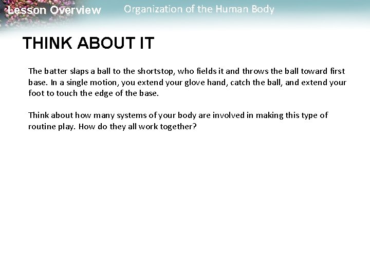 Lesson Overview Organization of the Human Body THINK ABOUT IT The batter slaps a