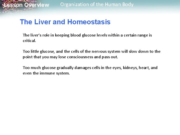 Lesson Overview Organization of the Human Body The Liver and Homeostasis The liver’s role