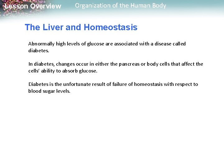 Lesson Overview Organization of the Human Body The Liver and Homeostasis Abnormally high levels