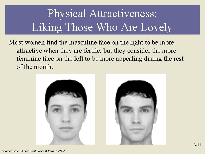 Physical Attractiveness: Liking Those Who Are Lovely Most women find the masculine face on