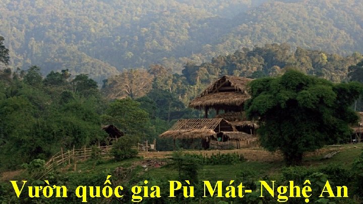 Vườn quốc gia Pù Mát- Nghệ An 