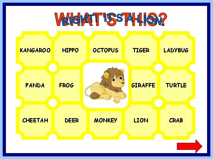 KANGAROO PANDA CHEETAH HIPPO OCTOPUS FROG DEER TIGER GIRAFFE MONKEY LION LADYBUG TURTLE CRAB