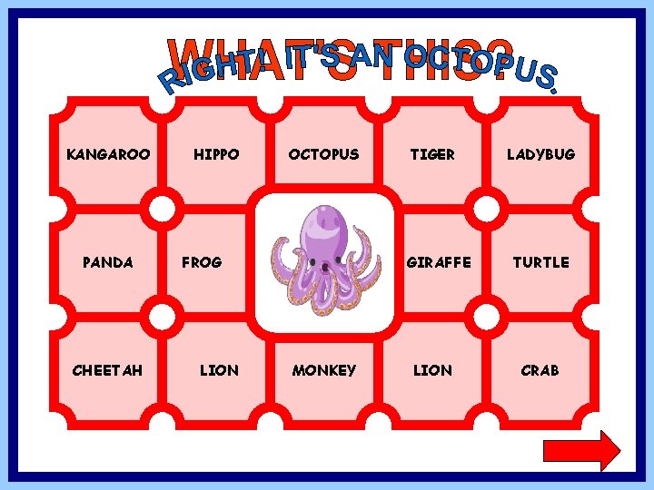 KANGAROO PANDA CHEETAH HIPPO OCTOPUS FROG LION TIGER GIRAFFE MONKEY LION LADYBUG TURTLE CRAB