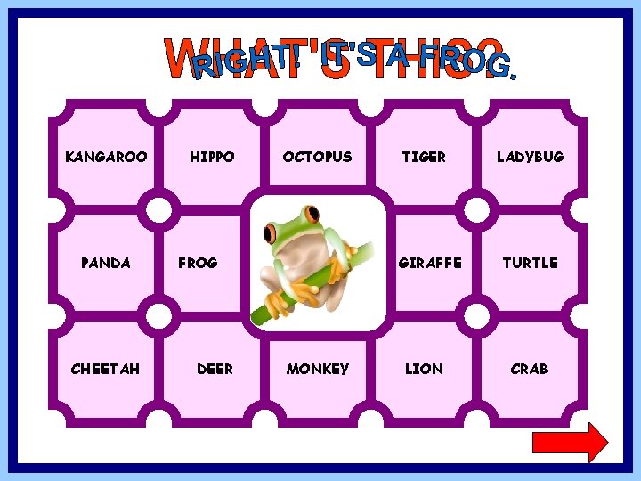 KANGAROO PANDA CHEETAH HIPPO OCTOPUS GIRAFFE FROG DEER TIGER MONKEY LION LADYBUG TURTLE CRAB