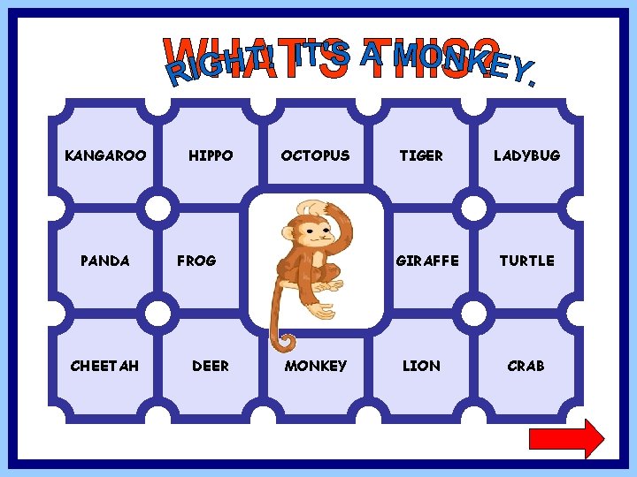 KANGAROO PANDA CHEETAH HIPPO OCTOPUS FROG DEER TIGER GIRAFFE MONKEY LION LADYBUG TURTLE CRAB