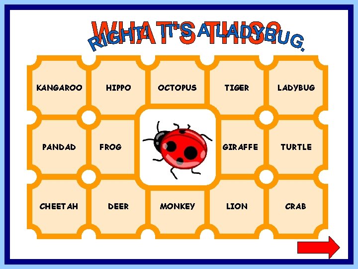 KANGAROO PANDAD CHEETAH HIPPO OCTOPUS FROG DEER TIGER GIRAFFE MONKEY LION LADYBUG TURTLE CRAB