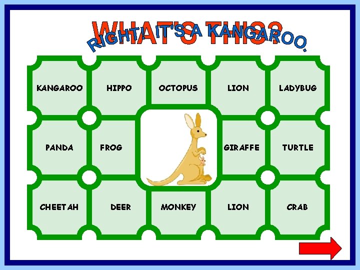 KANGAROO PANDA CHEETAH HIPPO OCTOPUS FROG DEER LION GIRAFFE MONKEY LION LADYBUG TURTLE CRAB