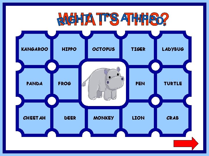 KANGAROO PANDA CHEETAH HIPPO OCTOPUS FROG DEER TIGER PEN MONKEY LION LADYBUG TURTLE CRAB