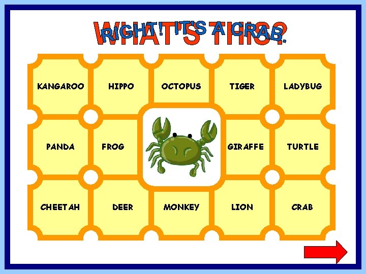 KANGAROO PANDA CHEETAH HIPPO OCTOPUS FROG DEER TIGER GIRAFFE MONKEY LION LADYBUG TURTLE CRAB