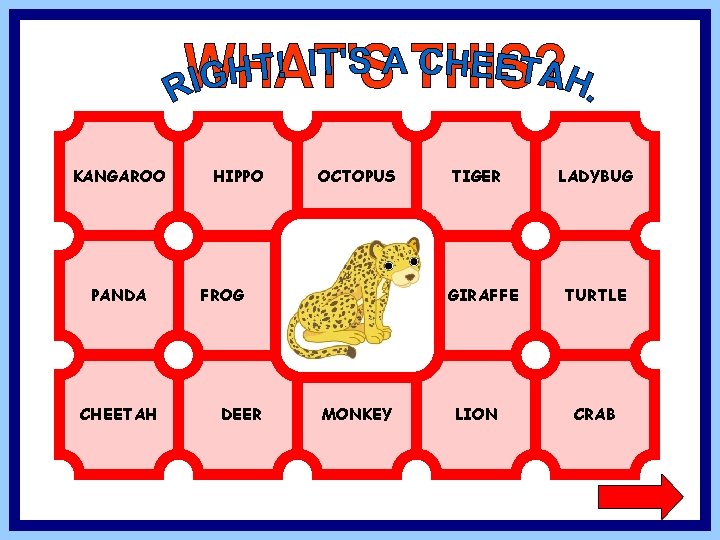 KANGAROO PANDA CHEETAH HIPPO OCTOPUS FROG DEER TIGER GIRAFFE MONKEY LION LADYBUG TURTLE CRAB