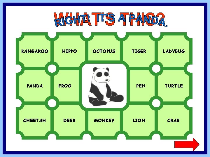 KANGAROO PANDA CHEETAH HIPPO OCTOPUS FROG DEER TIGER PEN MONKEY LION LADYBUG TURTLE CRAB