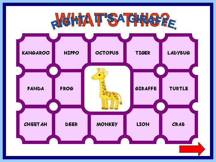 KANGAROO PANDA CHEETAH HIPPO OCTOPUS FROG DEER TIGER GIRAFFE MONKEY LION LADYBUG TURTLE CRAB
