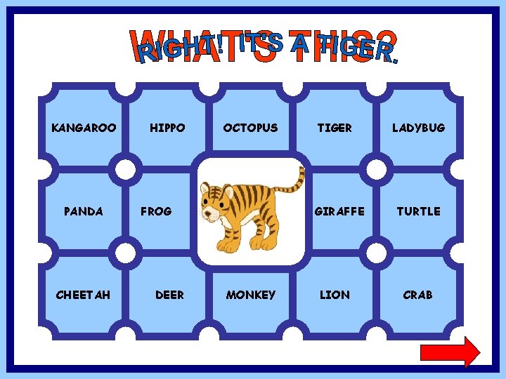 KANGAROO PANDA CHEETAH HIPPO OCTOPUS FROG DEER TIGER GIRAFFE MONKEY LION LADYBUG TURTLE CRAB