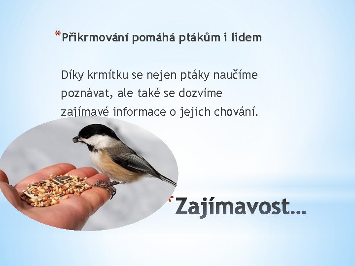 *Přikrmování pomáhá ptákům i lidem Díky krmítku se nejen ptáky naučíme poznávat, ale také