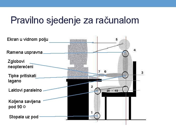 Pravilno sjedenje za računalom Ekran u vidnom polju Ramena uspravna Zglobovi neopterećeni Tipke pritiskati