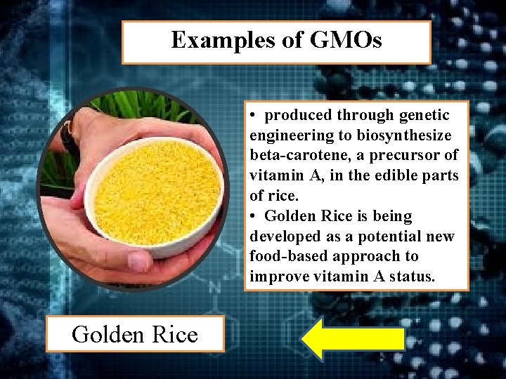 Examples of GMOs • produced through genetic engineering to biosynthesize beta-carotene, a precursor of