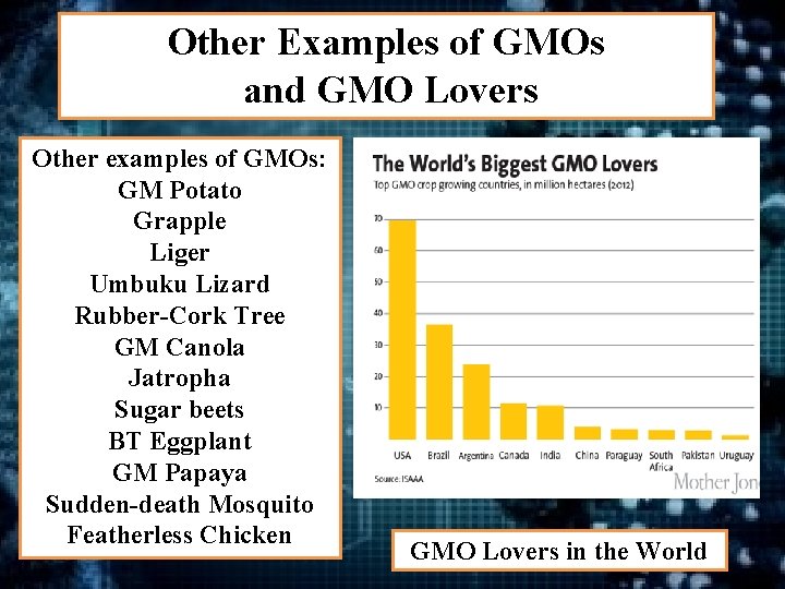 Other Examples of GMOs and GMO Lovers Other examples of GMOs: GM Potato Grapple