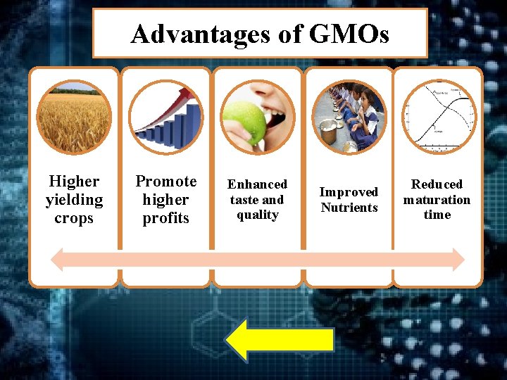 Advantages of GMOs Higher yielding crops Promote higher profits Enhanced taste and quality Improved
