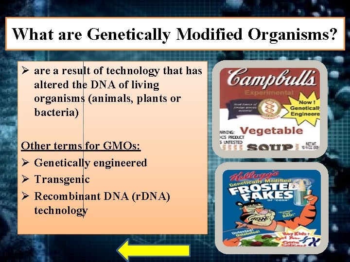 What are Genetically Modified Organisms? Ø are a result of technology that has altered