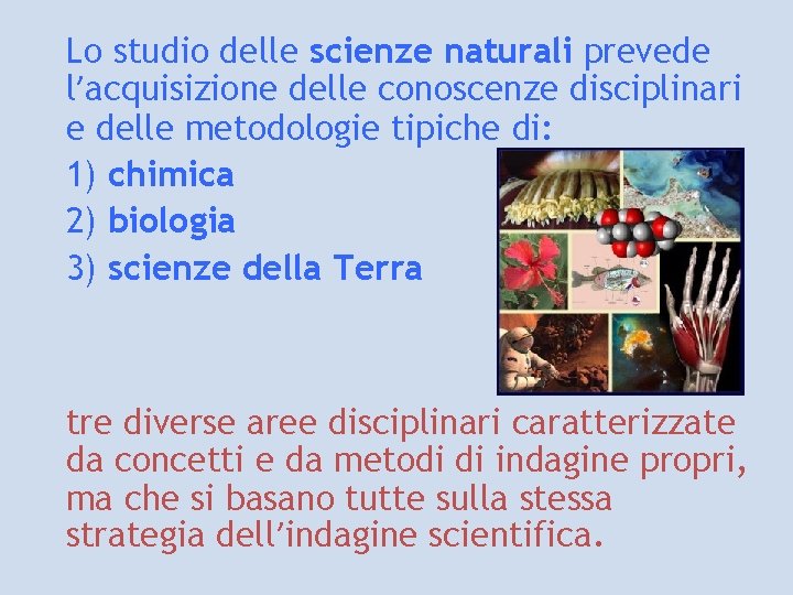Lo studio delle scienze naturali prevede l’acquisizione delle conoscenze disciplinari e delle metodologie tipiche