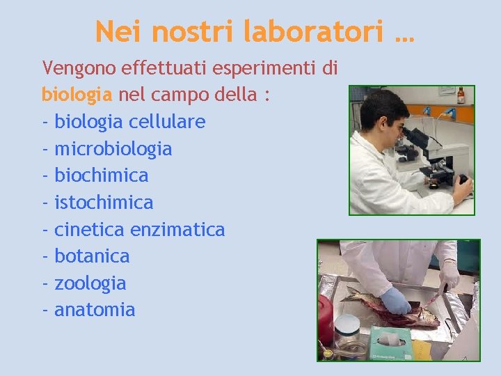 Nei nostri laboratori … Vengono effettuati esperimenti di biologia nel campo della : -