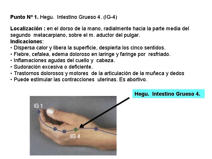 Punto Nº 1. Hegu. Intestino Grueso 4. (IG-4) Localización : en el dorso de Punto Nº 1. Hegu. Intestino Grueso 4. (IG-4) Localización : en el dorso de