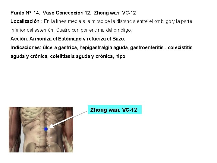 Punto Nº 14. Vaso Concepción 12. Zhong wan. VC-12 Localización : En la línea Punto Nº 14. Vaso Concepción 12. Zhong wan. VC-12 Localización : En la línea