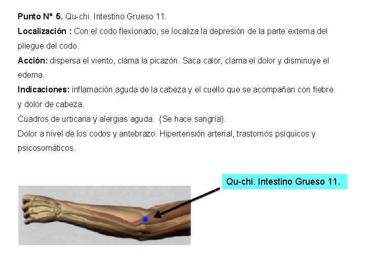 Punto Nº 5. Qu-chi. Intestino Grueso 11. Localización : Con el codo flexionado, se Punto Nº 5. Qu-chi. Intestino Grueso 11. Localización : Con el codo flexionado, se