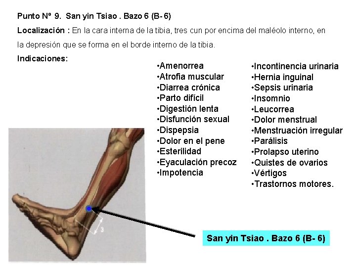 Punto Nº 9. San yin Tsiao. Bazo 6 (B- 6) Localización : En la Punto Nº 9. San yin Tsiao. Bazo 6 (B- 6) Localización : En la