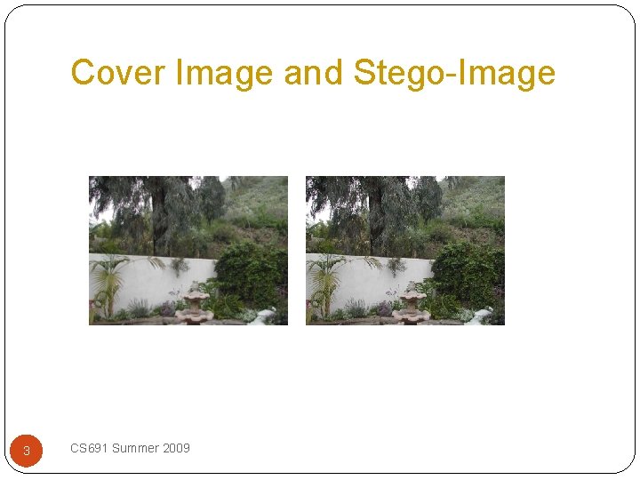Cover Image and Stego-Image 3 CS 691 Summer 2009 
