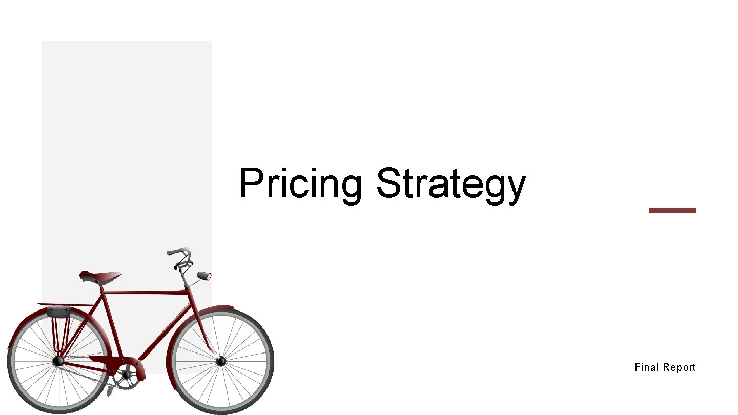 Pricing Strategy Final Report 
