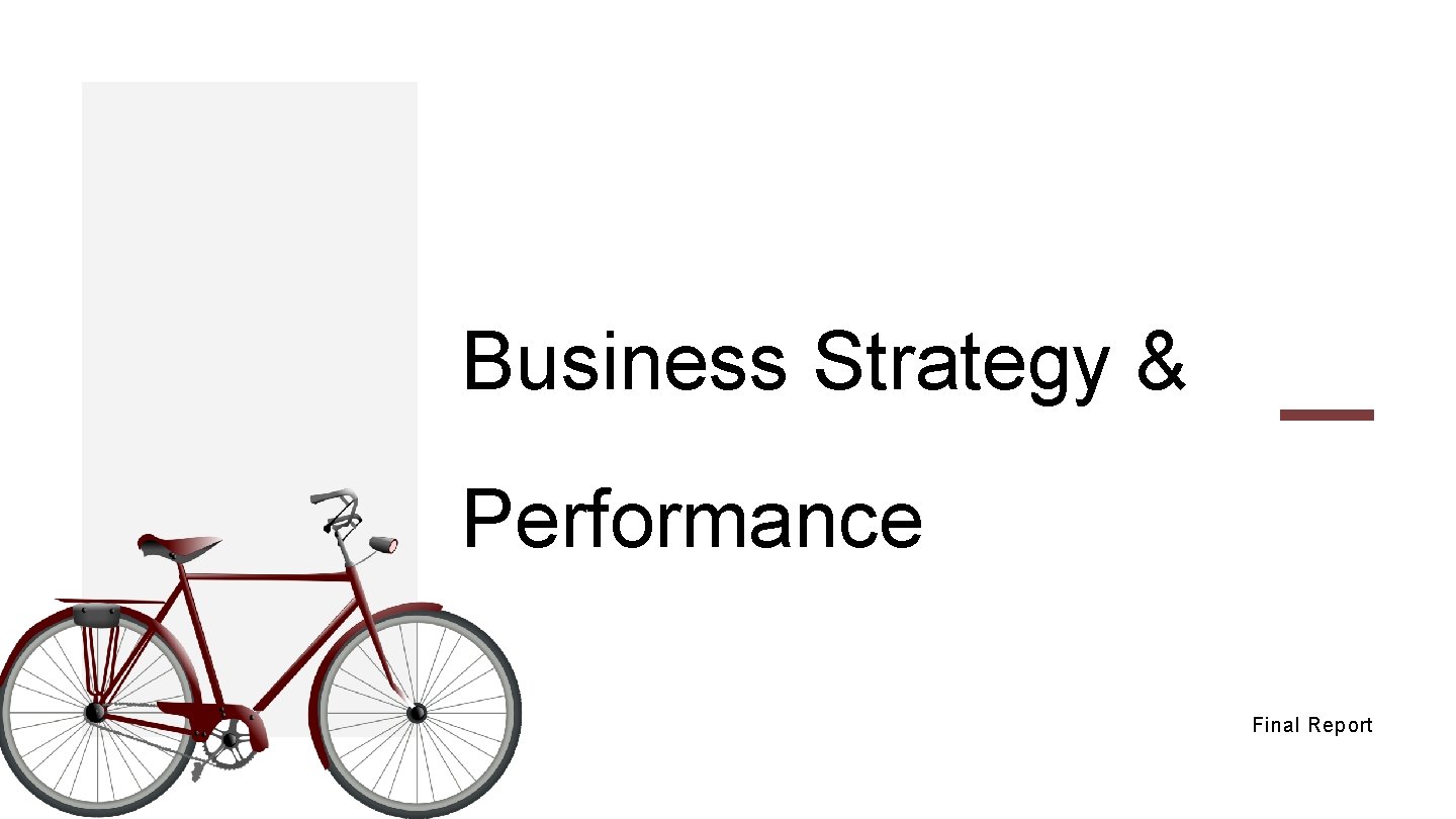 Business Strategy & Performance Final Report 