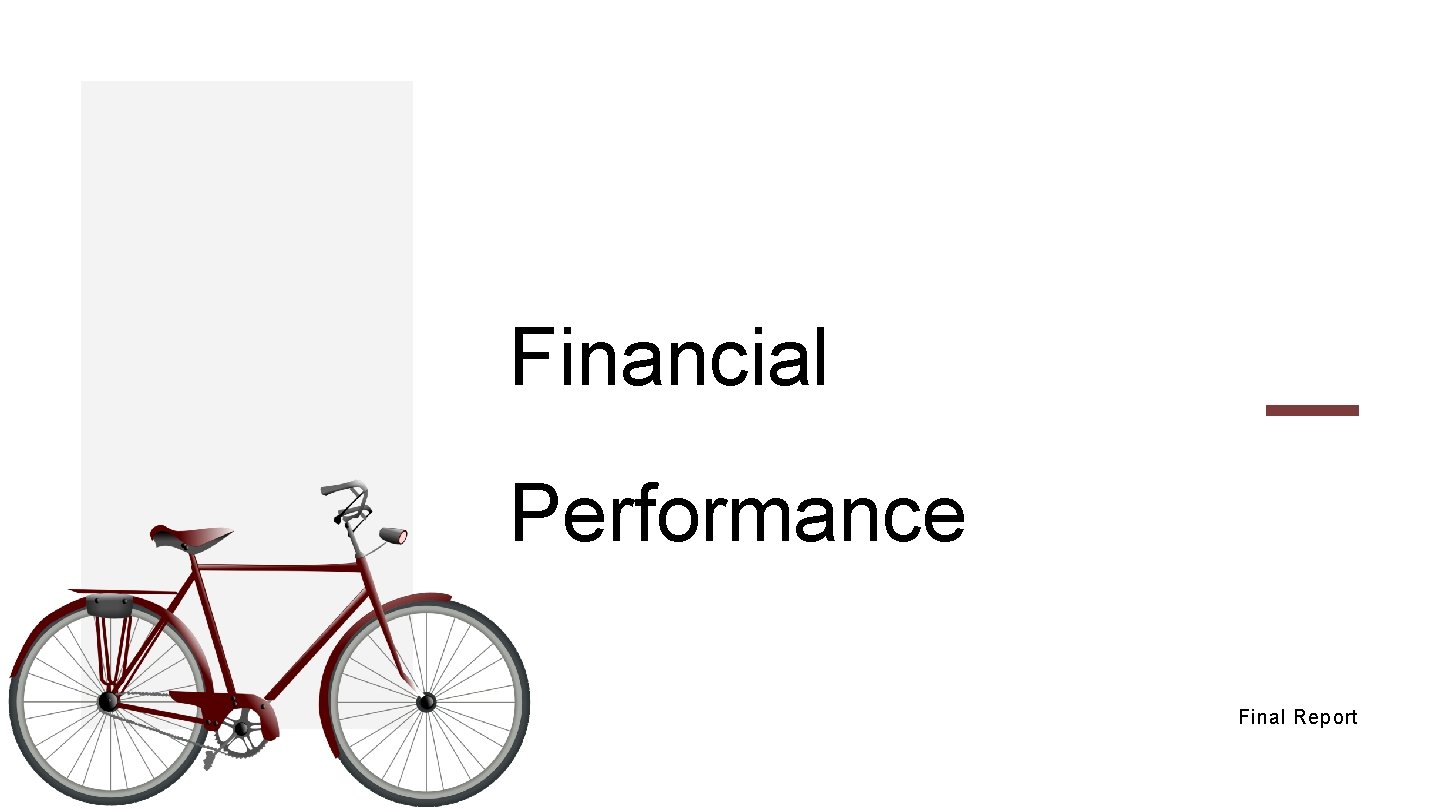 Financial Performance Final Report 